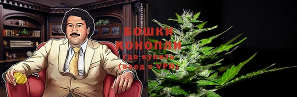 прущие крисы Вязники