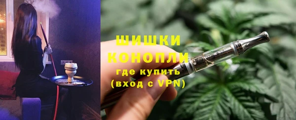 гидра Фёдоровский