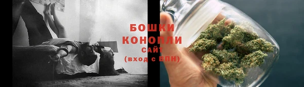 гидра Фёдоровский