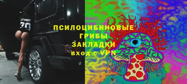 СК Дмитриев