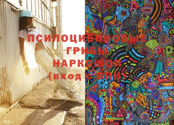 PSILOCYBIN Вязьма