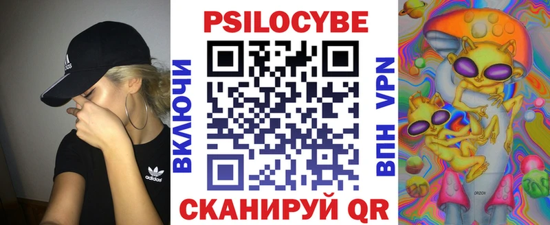 МЕГА ссылка  Гусь-Хрустальный  Галлюциногенные грибы Cubensis 