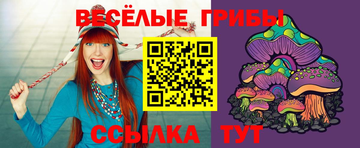 Галлюциногенные грибы мицелий Гусь-Хрустальный