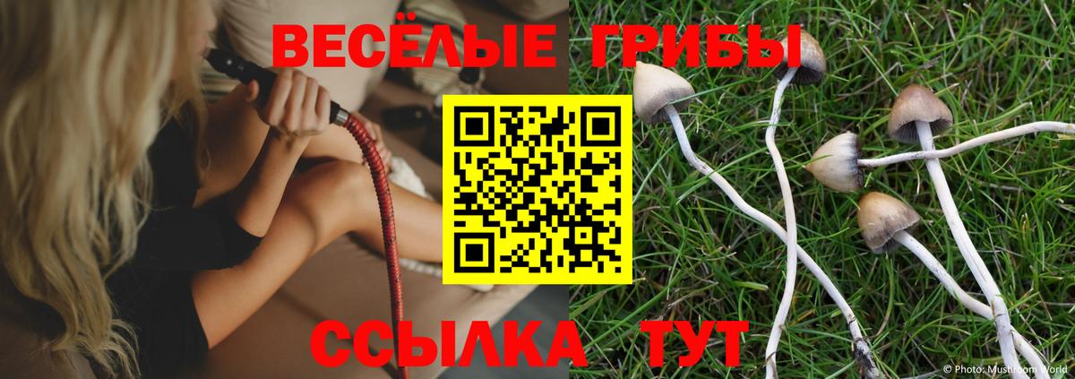 Гусь-Хрустальный  Галлюциногенные грибы Psilocybe  Вход с VPN 