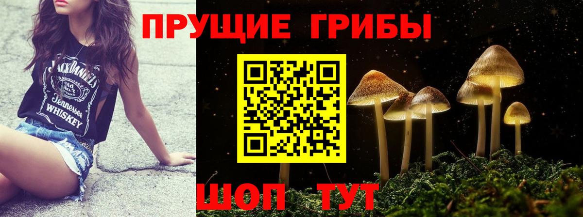 даркнет сайт  Гусь-Хрустальный  Псилоцибиновые грибы Psilocybe  Псилоцибиновые грибы Cubensis 